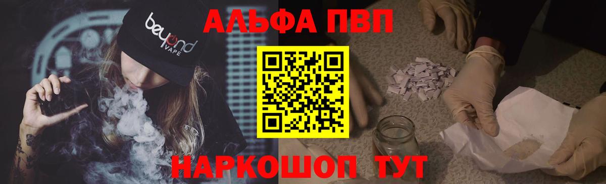 Альфа ПВП СК КРИС Карачаевск