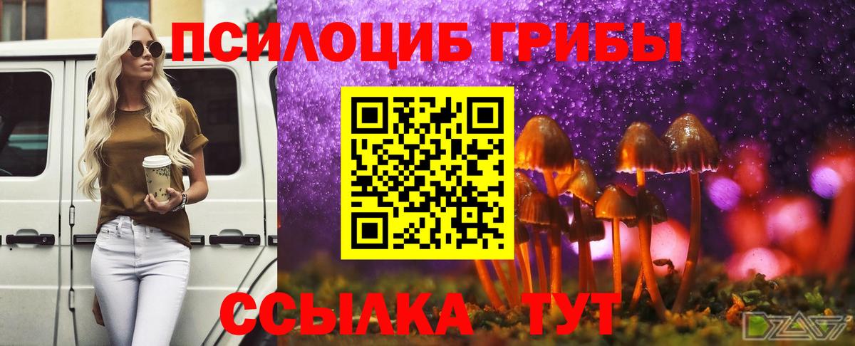 Карачаевск  Псилоцибиновые грибы Magic Shrooms  Псилоцибиновые грибы мухоморы  Вход с VPN 